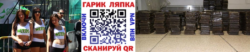 ГАШИШ индика сатива  как найти   Миньяр 