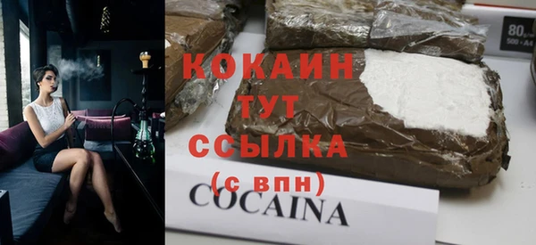 стаф Арсеньев