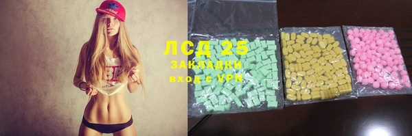 стаф Арсеньев