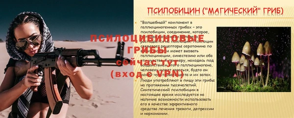 стаф Арсеньев